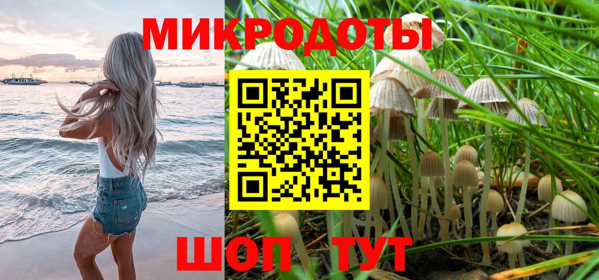 Псилоцибиновые грибы мицелий Павловский Посад